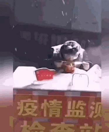 “親愛的戰友，請立即執行強制休息令！”