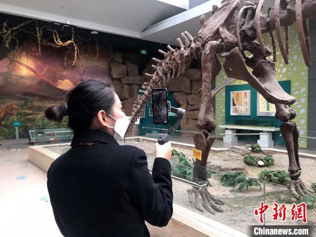 圖為甘肅省博物館講解員正在進行直播。　甘肅省博物館供圖 攝