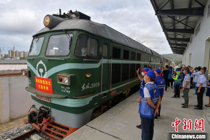 三亞開動(dòng)援鄂“芒果專列”。　駱云飛 攝