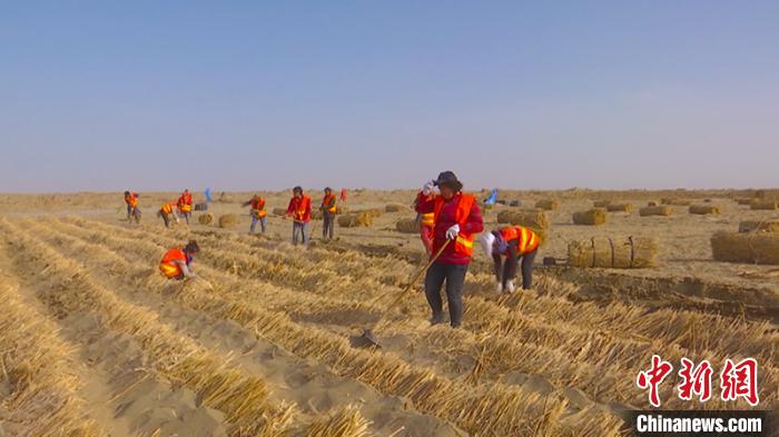 國家重點鐵路工程和若鐵路全面進入復工狀態，并吸納新疆脫貧人員就業增收。　阿曼江？阿力甫 攝